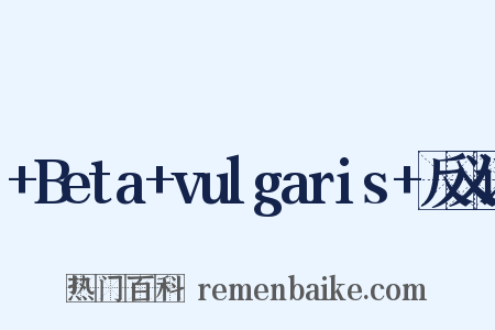 +Beta+vulgaris+反义词是什么意思的图片